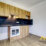 Rent 2 bedroom apartment of 59 m² in Smiřice