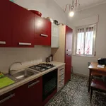 Rent 3 bedroom apartment of 70 m² in Messina