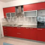 Rent 4 bedroom apartment of 85 m² in Каменица 2