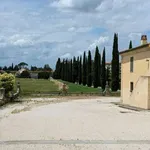 Rent 1 bedroom apartment of 60 m² in florence