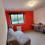 Rent 1 bedroom apartment of 15 m² in Toulouse