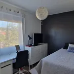 Rent 2 bedroom apartment in Oslo