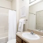 Rent 1 bedroom apartment in Katy