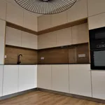 Rent 1 bedroom apartment of 70 m² in Brno