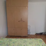 Rent 1 bedroom apartment in Craiova