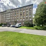 Rent 1 bedroom apartment of 20 m² in Ostrava