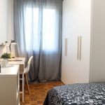 Affitto 4 camera appartamento in Padua