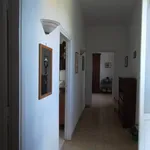 Rent 3 bedroom house of 110 m² in Roma