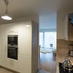 Rent 3 bedroom apartment of 75 m² in Munich