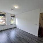 Rent a room of 13 m² in Gesworen Hoek Zuid