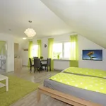 Rent 1 bedroom apartment of 35 m² in Speyer