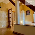 Rent 4 bedroom apartment of 189 m² in Prague