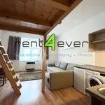 Rent 1 bedroom apartment of 29 m² in Capital City of Prague