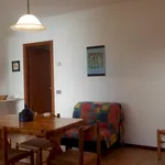 Rent 2 bedroom apartment of 45 m² in Castagneto Carducci