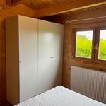 Rent 3 bedroom house of 50 m² in Buitengebied Menaam
