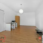 Rent 1 bedroom apartment in Tachov