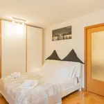 Rent 1 bedroom apartment in Como