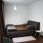 Rent 1 bedroom apartment of 59 m² in Prague