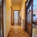 Rent 4 bedroom apartment of 130 m² in Roma