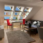 Rent 1 bedroom apartment of 50 m² in Hanover