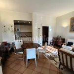 Rent 3 bedroom apartment of 80 m² in Turin