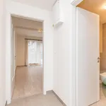 Rent 1 bedroom apartment in Prague