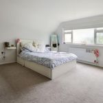 Rent 5 bedroom house in East Midlands