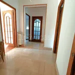 Rent 4 bedroom apartment of 85 m² in Alassio