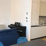 Rent 2 bedroom apartment of 55 m² in Torino