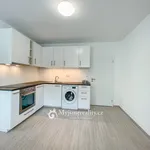 Rent 1 bedroom apartment in Znojmo