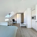 Rent 1 bedroom house of 30 m² in Ghent