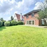 Rent 4 bedroom house of 500 m² in Auderghem - Oudergem