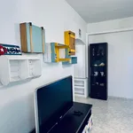 Rent 2 bedroom apartment of 55 m² in Civitavecchia