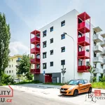 Rent 1 bedroom apartment of 40 m² in Vyškov