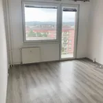 Rent 1 bedroom apartment in České Budějovice