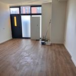 Rent 2 bedroom apartment of 100 m² in Enschede