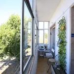 Rent 3 bedroom apartment in Lisbon