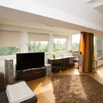 Rent 2 bedroom apartment of 93 m² in Essen