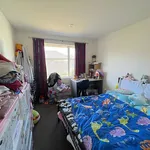 Rent 4 bedroom house in Christchurch