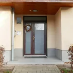 Rent 1 bedroom apartment of 45 m² in Brno