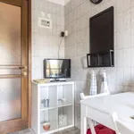 Rent a room in padua