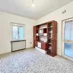 Rent 2 bedroom apartment of 45 m² in Brentino Belluno