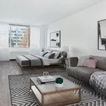 Rent 1 bedroom apartment of 66 m² in New York