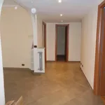 Rent 3 bedroom apartment of 90 m² in Roma