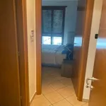 Rent 2 bedroom apartment of 60 m² in Turin