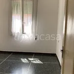 Rent 3 bedroom apartment of 77 m² in Bologna