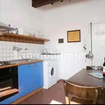 Rent 1 bedroom apartment of 40 m² in Florence