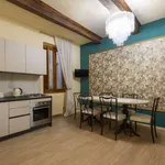 Rent 1 bedroom apartment of 50 m² in florence