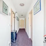 Rent 1 bedroom apartment in Ostrava