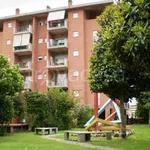 Rent 2 bedroom apartment of 50 m² in Roma